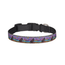 Starry Night Black Cat Collar