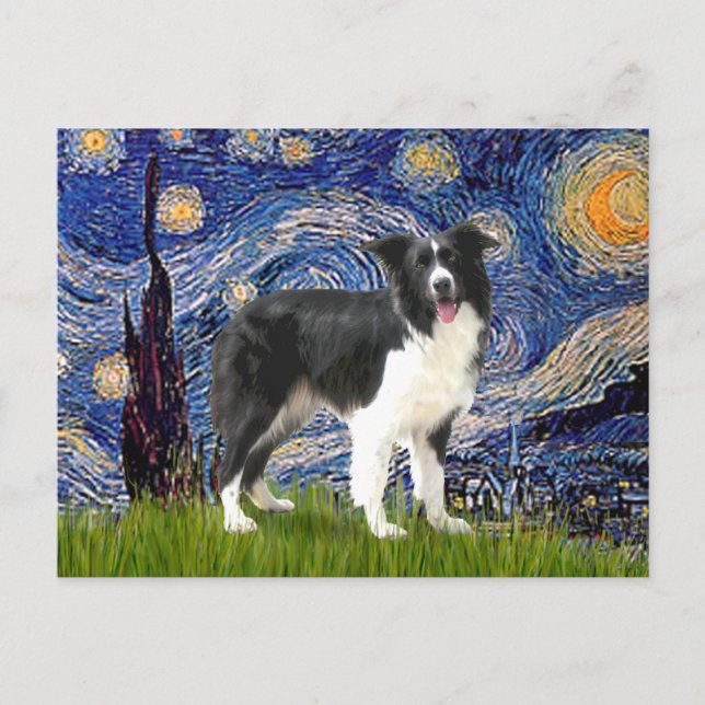 Starry Night - Border Collie (Z) Postcard (Front)