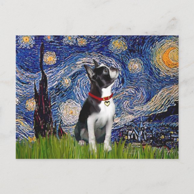 Starry Night - Boston T (2rc) Postcard (Front)