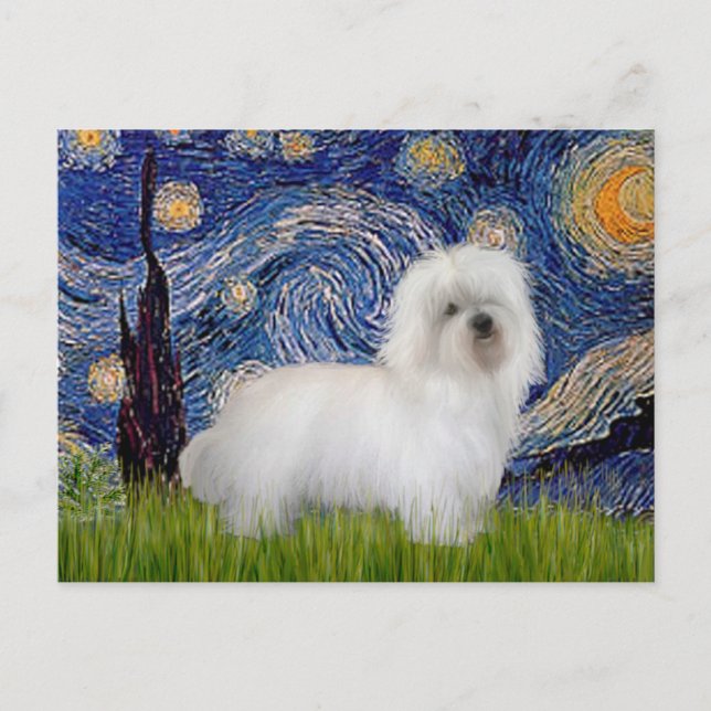Starry Night - Coton de Tulear 5 Postcard (Front)