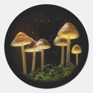 Starry Night Glowing Mushrooms Classic Round Sticker