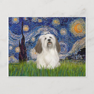 Starry Night - Havanese (#1) Postcard