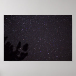 Starry Night, Michigan Poster