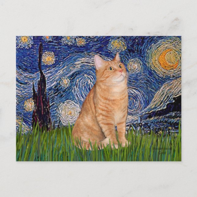 Starry Night - Orange Tabby 46 Postcard (Front)