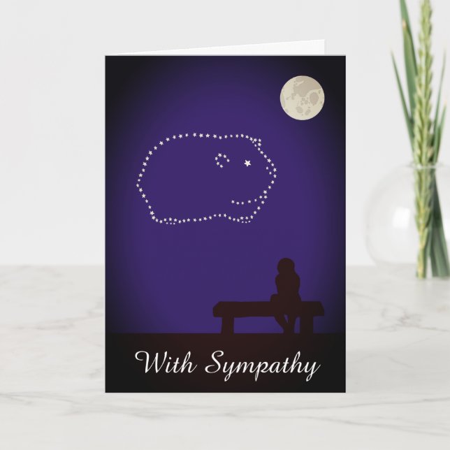 Starry Night Pet Guinea Pig Sympathy Card (Front)