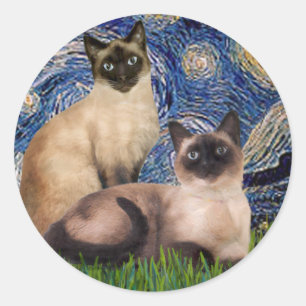 Starry Night - Two Siamese cats (Choc Pt) Classic Round Sticker
