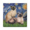Starry Night - Two Siamese cats (Choc Pt)
