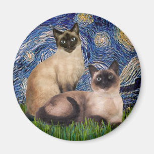 Starry Night - Two Siamese cats (Choc Pt) Magnet