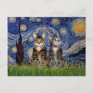 Starry Night - Two Tabby Tiger Cats Postcard
