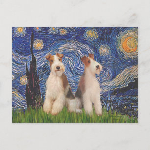 Starry Night - Two Wire Fox Terriers Postcard