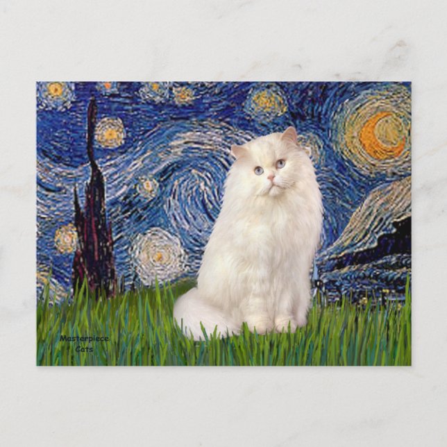 Starry Night - White Persian cat Postcard (Front)