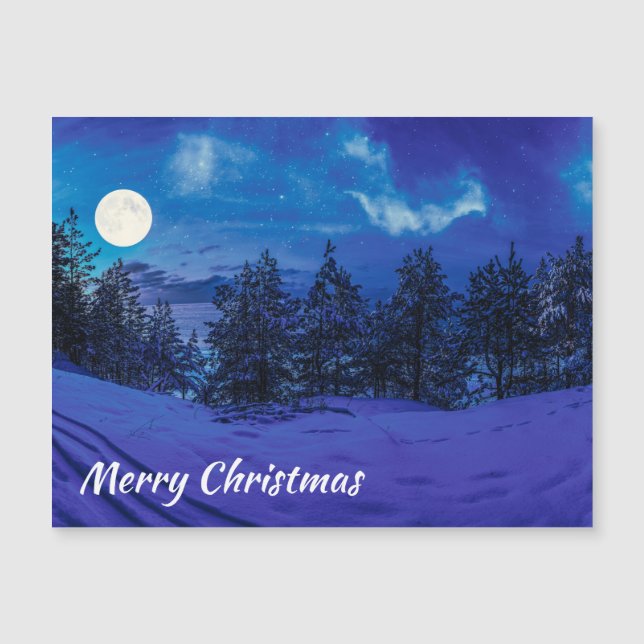 Starry night with full moon in forest (Front)