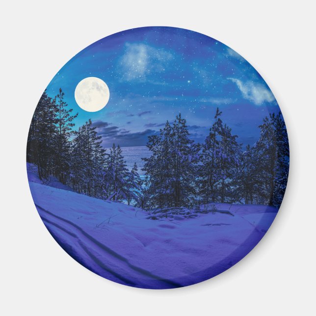 Starry night with full moon in forest magnet (Front)