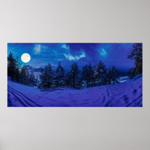 Starry night with full moon in forest poster
