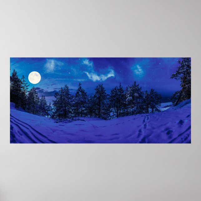 Starry night with full moon in forest poster (Front)