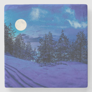Starry night with full moon in forest stone coaster