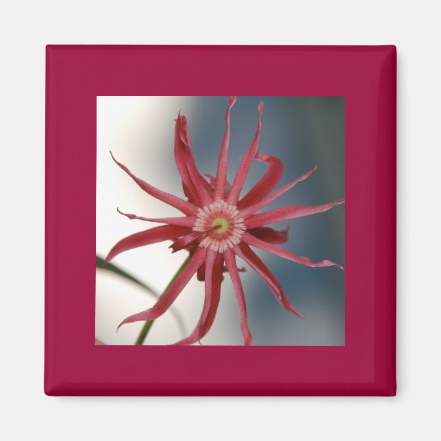 Starry Orchid Magnet (Front)