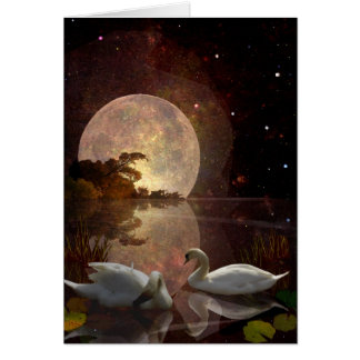 Starry River