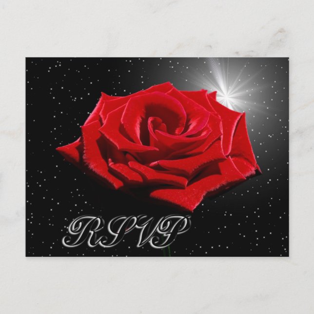 Starry Romantic Night Postcard (Front)