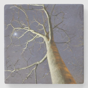 Starry_tree_coaster Stone Coaster
