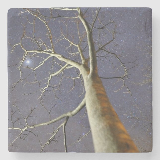 Starry_tree_coaster Stone Coaster (Front)