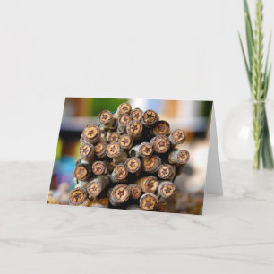 Stars along the Rio Grande Cotton Wood Trees Card