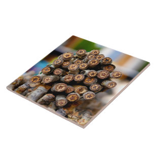 Stars along the Rio Grande Cotton Wood Trees Ceramic Tile