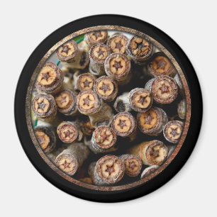 Stars along the Rio Grande Cotton Wood Trees Magnet