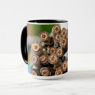 Stars along the Rio Grande Cotton Wood Trees Mug