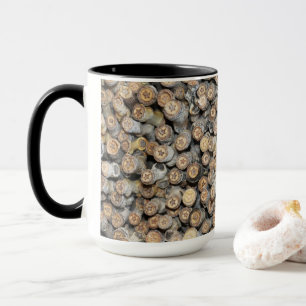 Stars along the Rio Grande Cotton Wood Trees Mug