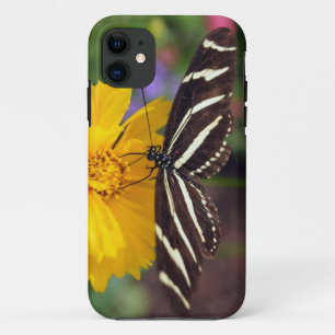 Stars and Stripes iPhone 11 Case