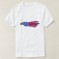 Stars And Stripes Eagle