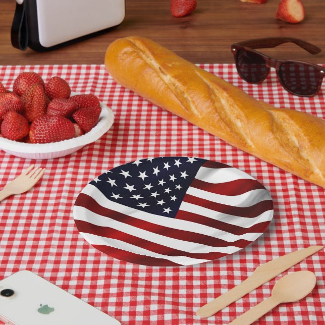 STARS AND STRIPES FLAG PAPER PLATE (Picnic)
