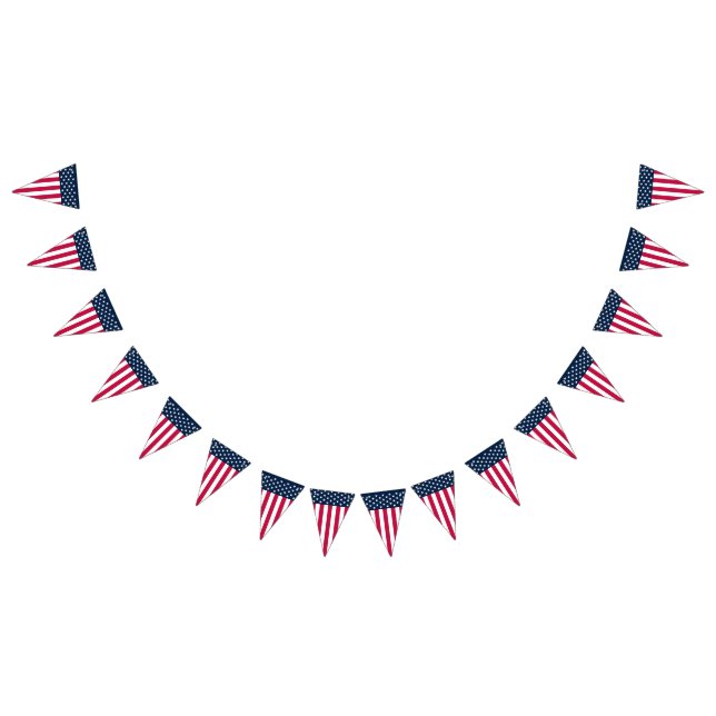 Stars and Stripes US Flag  (All)