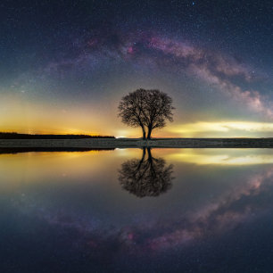 Stars in reflection with water poster