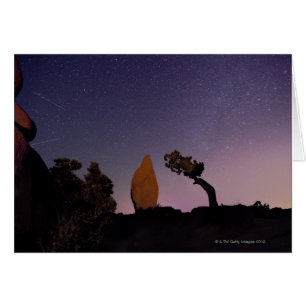 Stars in sky over desert 3
