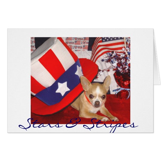 Stars & Stripes Chihuahua Card