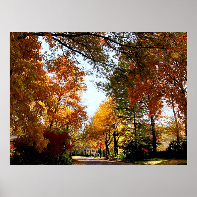 STARTING UNDER $20 - Village Street in Autumn Poster (Front)