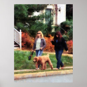 STARTING UNDER $20 - Women Walking a Dog Poster
