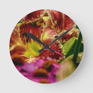 "Startle" Daylily  Round Clock