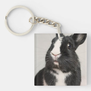 Startled Black and White Bunny Rabbit Key Ring