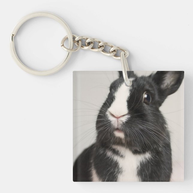 Startled Black and White Bunny Rabbit Key Ring (Front)