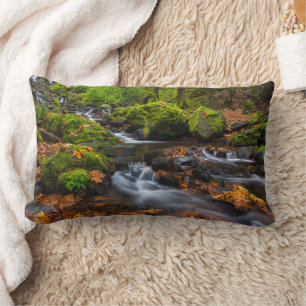 Starvation Creek Falls Columbia Gorge, Oregon Lumbar Cushion