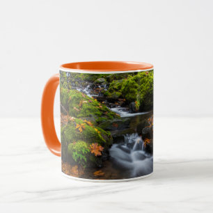 Starvation Creek Falls Columbia Gorge, Oregon Mug