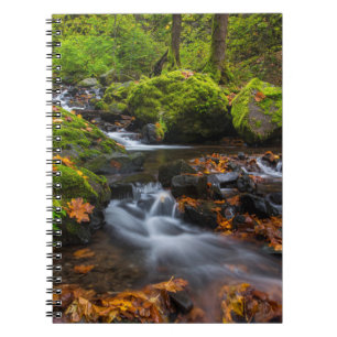 Starvation Creek Falls Columbia Gorge, Oregon Notebook