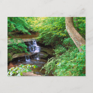 Starved Rock Park, Illinois Postcard