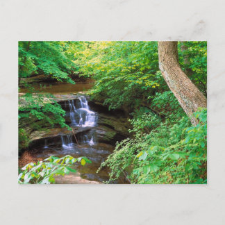 Starved Rock Park, Illinois Postcard