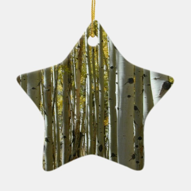 Starwood ornament (Front)