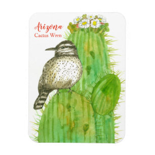 State Bird of Arizona Cactus Wren Magnet