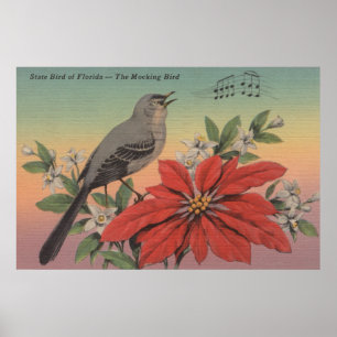 State Bird of FloridaMocking BirdFlorida Poster